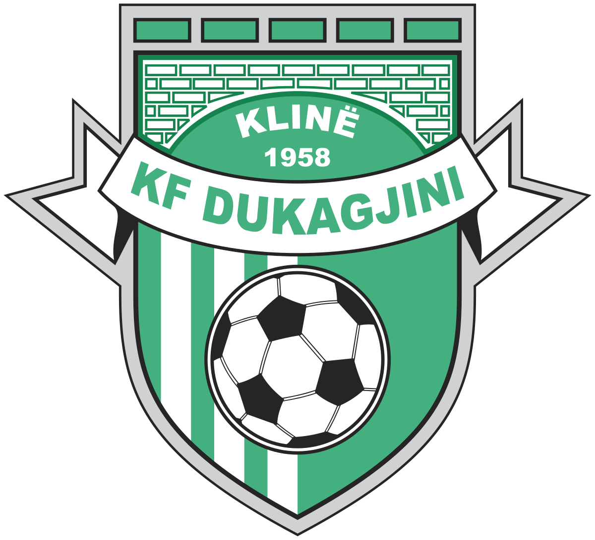 KF DUKAGJINI